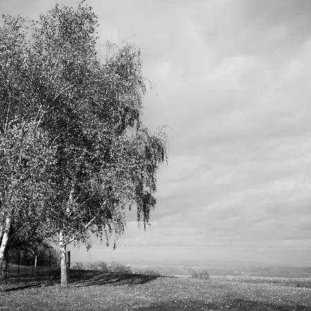 Bretterbude Steiermark *