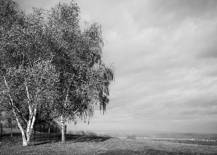 Bretterbude Steiermark *